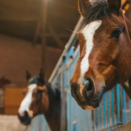 Mistral Διαμέρισμα Westermarkelsdorf