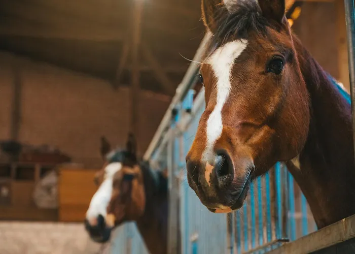 Mistral Appartamento Westermarkelsdorf