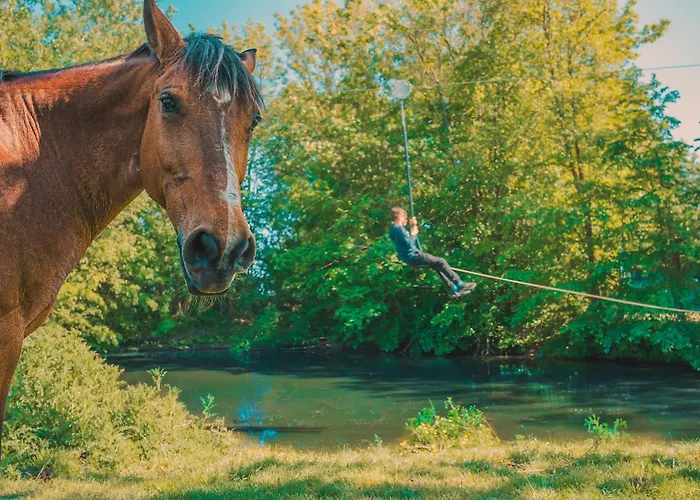 Mistral Westermarkelsdorf